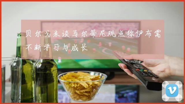贝尔戈米谈马尔蒂尼观点称伊布需不断学习与成长